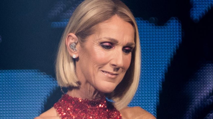 Céline Dion, Sängerin