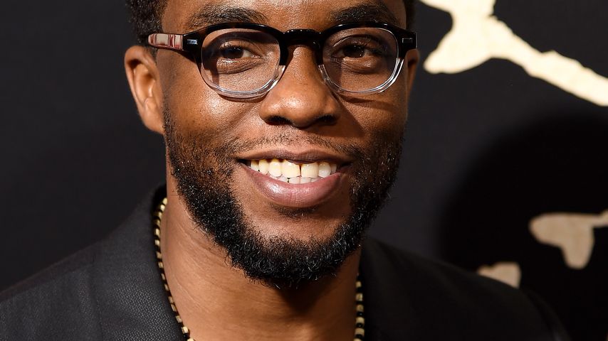 Chadwick Boseman bei der "The Birth of a Nation"-Premiere in Hollywood im September 2016