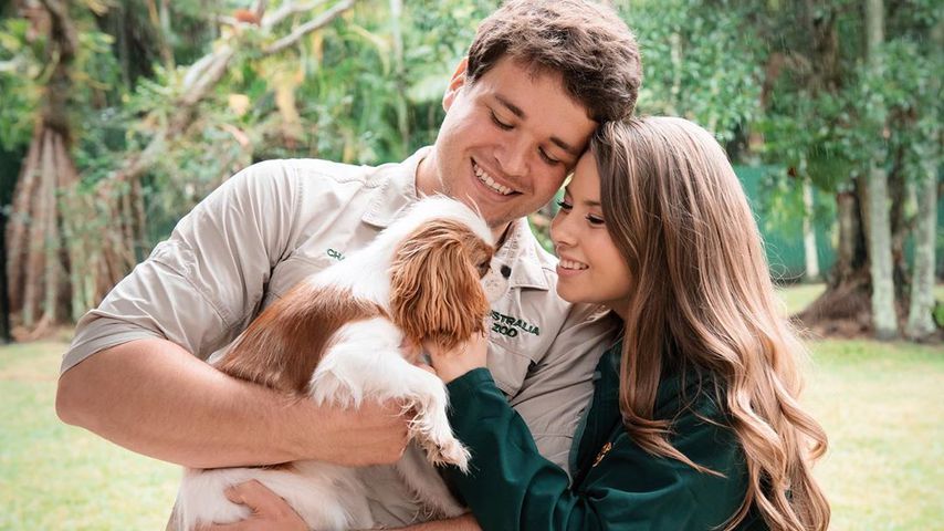 Mit Tränen: So hat Bindi Irwin auf Schwangerschaft reagiert