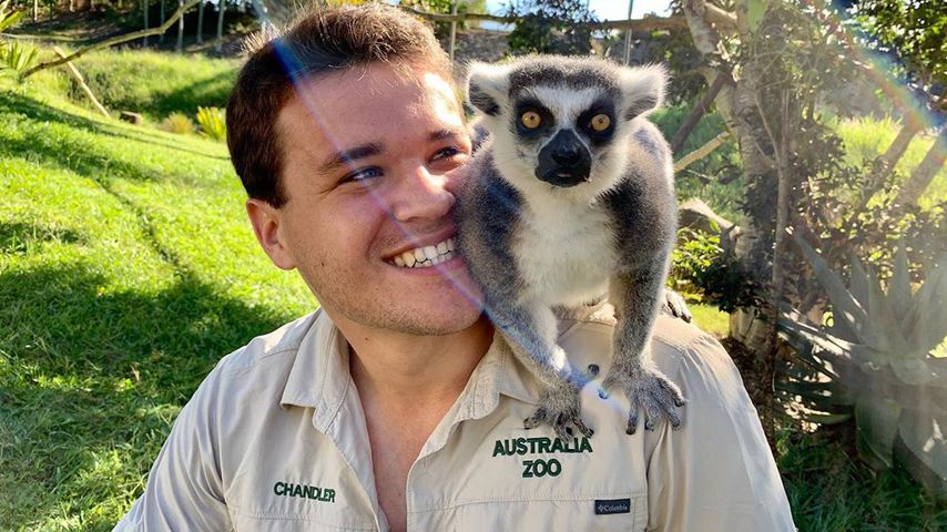 Chandler Powell, Ehemann von Bindi Irwin