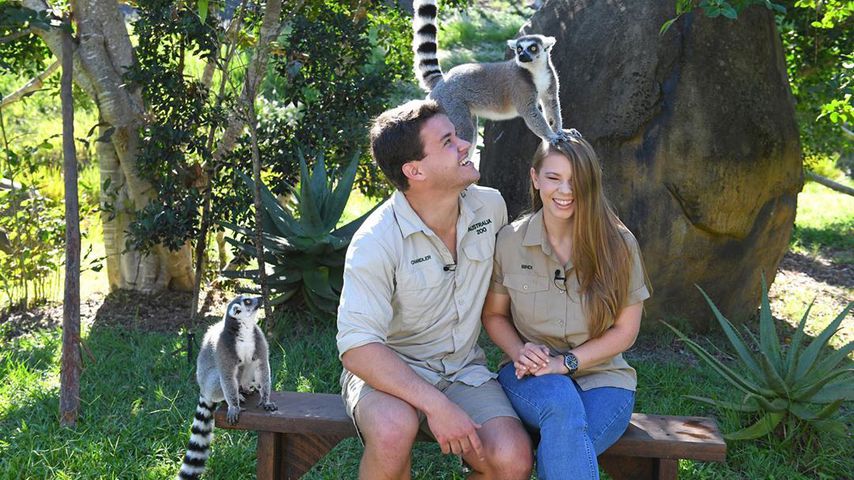 Erstes Monatsjubiläum: Bindi Irwin und ihr Chandler happy