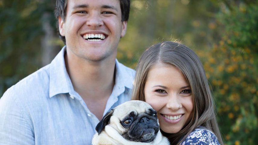 Chandler Powell und Bindi Irwin gemeinsam mit Hündin Stella