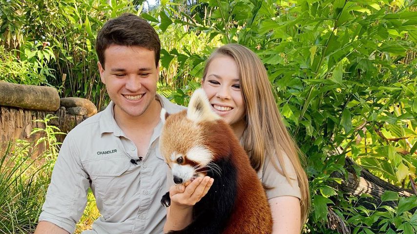 Chandler Powell und Bindi Irwin im Australia Zoo, 2020