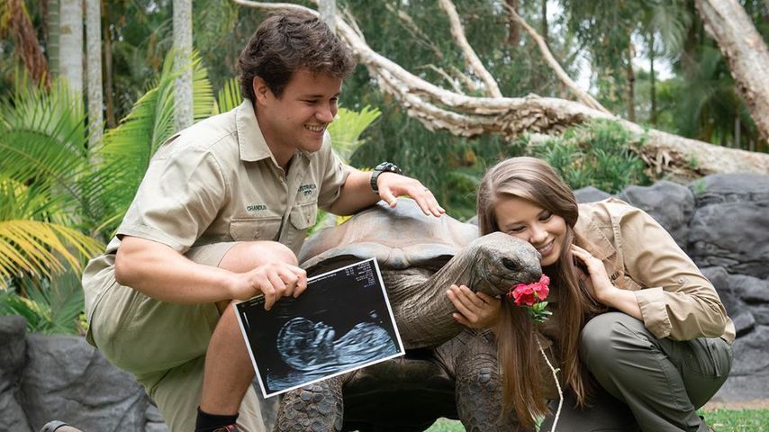 Bindi Irwin und Ehemann Chandler verraten das Babygeschlecht