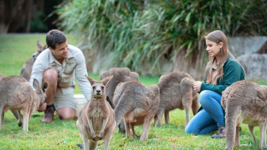 Chandler Powell und Bindi Irwin im März 2021