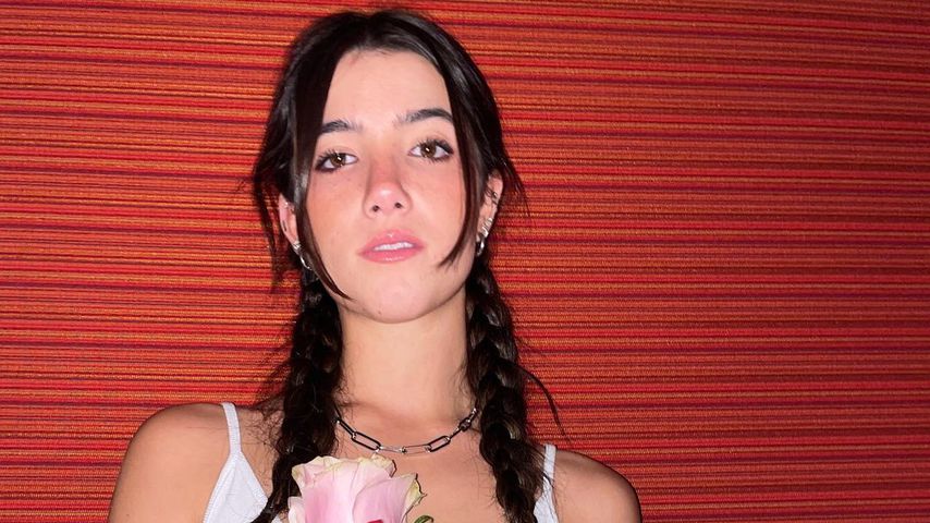 Charli D'Amelio, Social-Media-Star