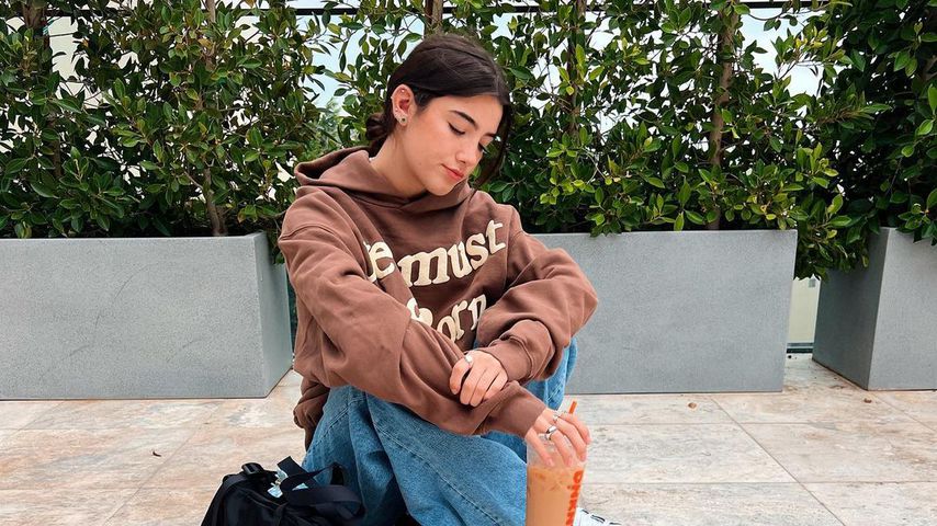 Charli D'Amelio, Social-Media-Star