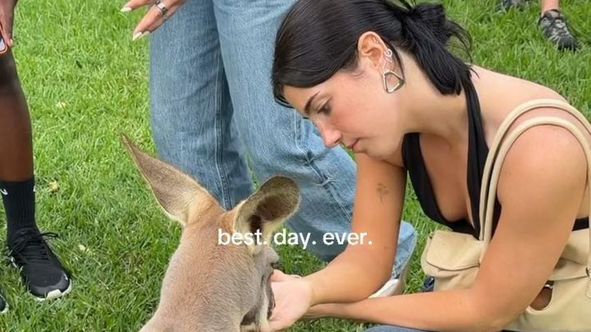 Charli D'Amilio besucht den Australian Zoo