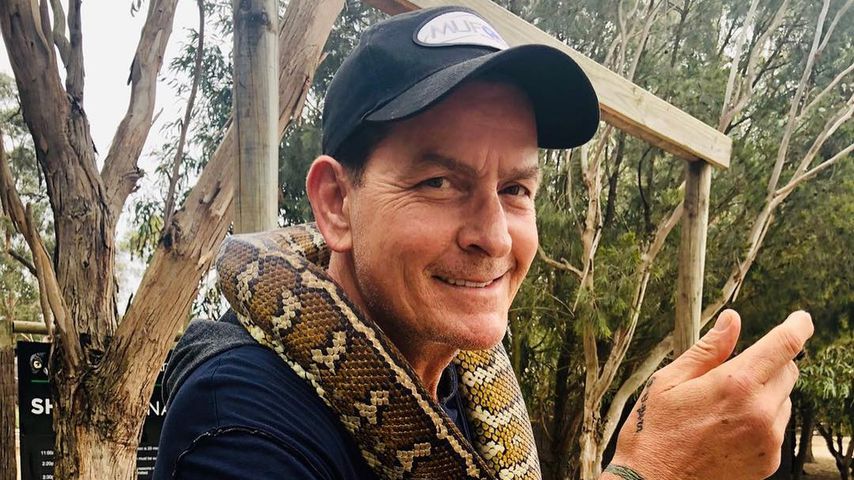 Charlie Sheen, Schauspieler
