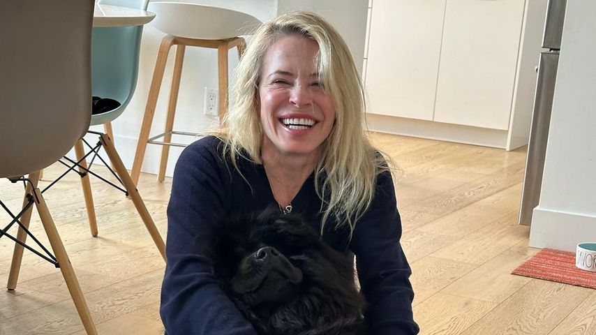 Chelsea Handler, Komikerin
