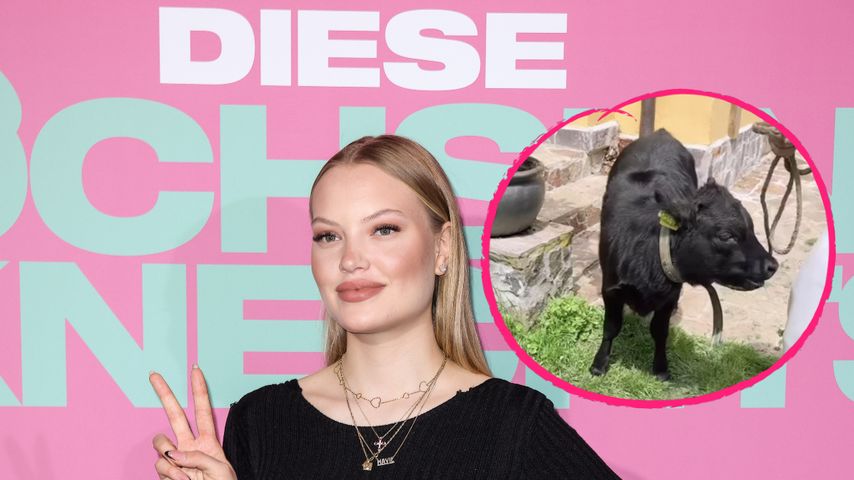 Zum Muttertag: Cheyenne Ochsenknecht bekommt ein Zwergrind
