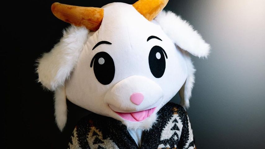 Chezney McGoat, Sänger