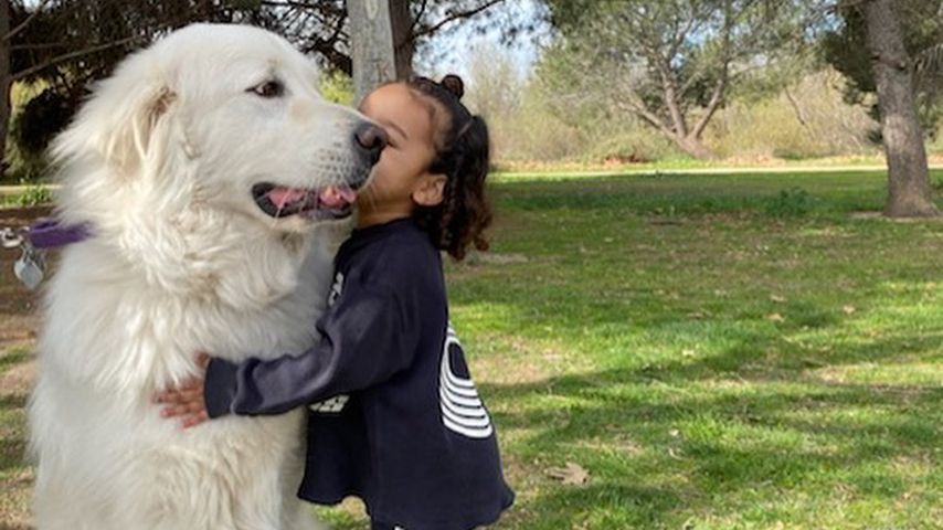 Chicago West im Februar 2020