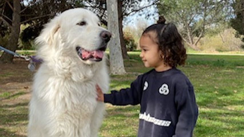Chicago West im Februar 2020