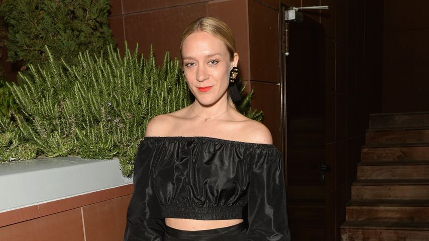 Chloë Sevigny, Schauspielerin
