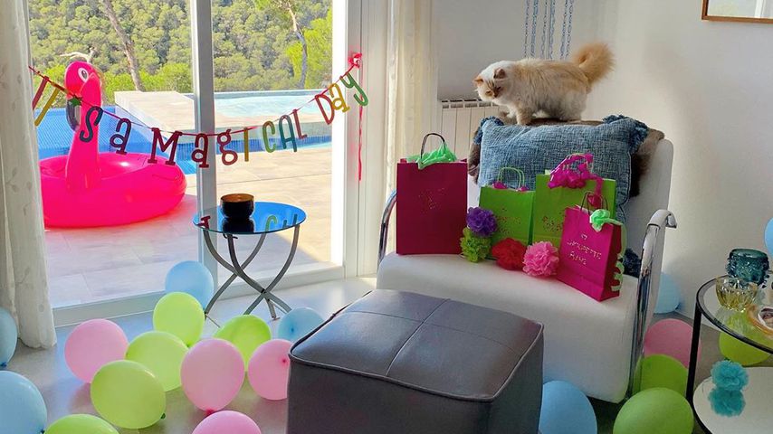 Choupette Lagerfeld im August 2019