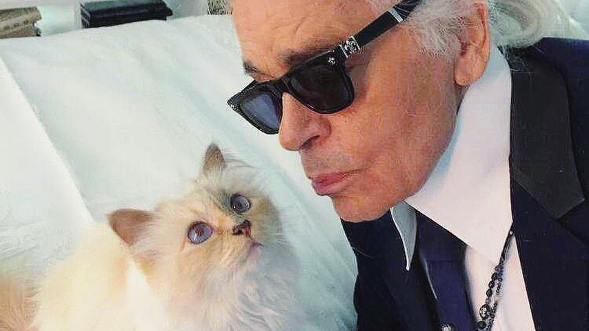 Choupette und ihr Karl Lagerfeld