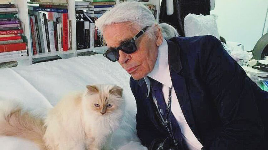 Was? Karl Lagerfeld (†85) war nicht Choupettes Besitzer!