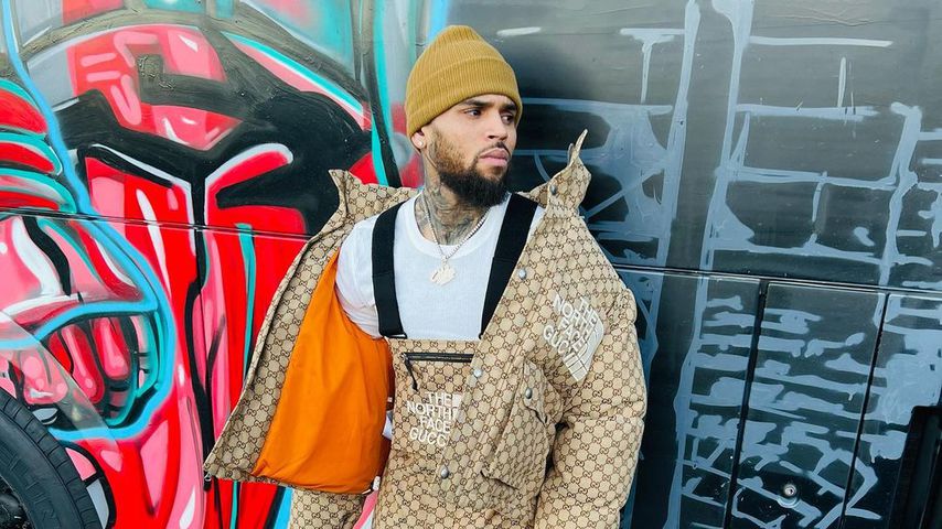Chris Brown, Sänger