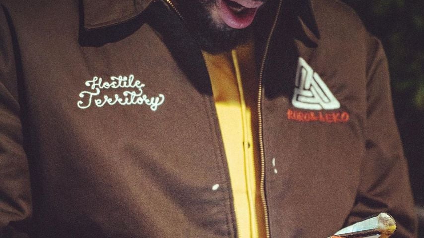 Chris Brown, Sänger