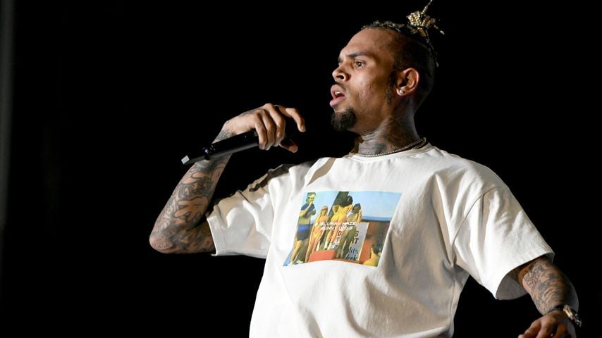 Chris Brown, Musiker