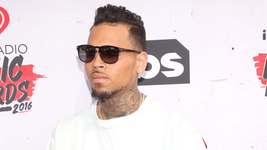 Chris Brown, Musiker