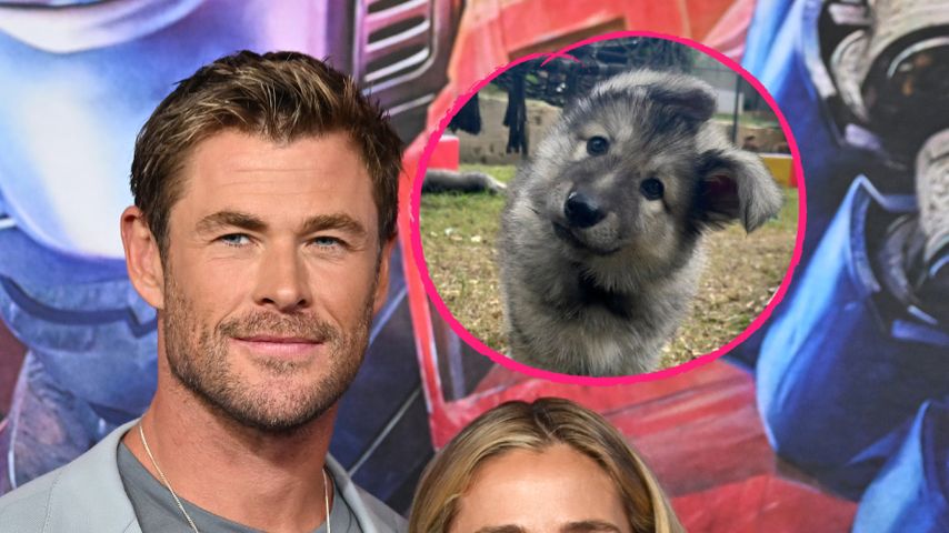 Collage: Chris Hemsworth mit Elsa Pataky und ihr Hund