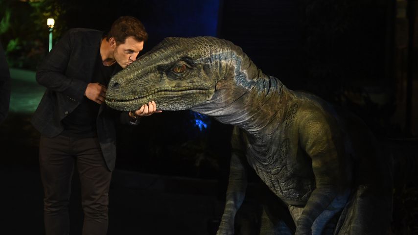Chris Pratt bei der Eröffnungsfeier von "Jurassic World-The Ride" in den Universal Studios Hollywood