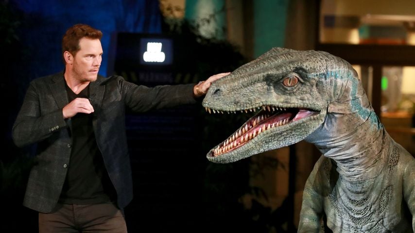 Chris Pratt und "Jurassic World"-Dino Blue