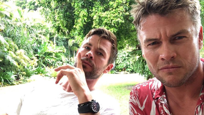 Chris Hemsworth und Luke Hemsworth, Schauspieler