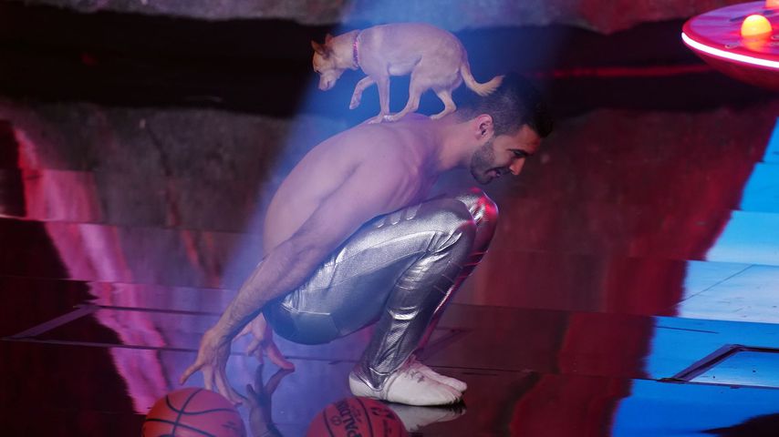 Zuschauer enttäuscht: Kaum Talente im "Supertalent"-Finale?