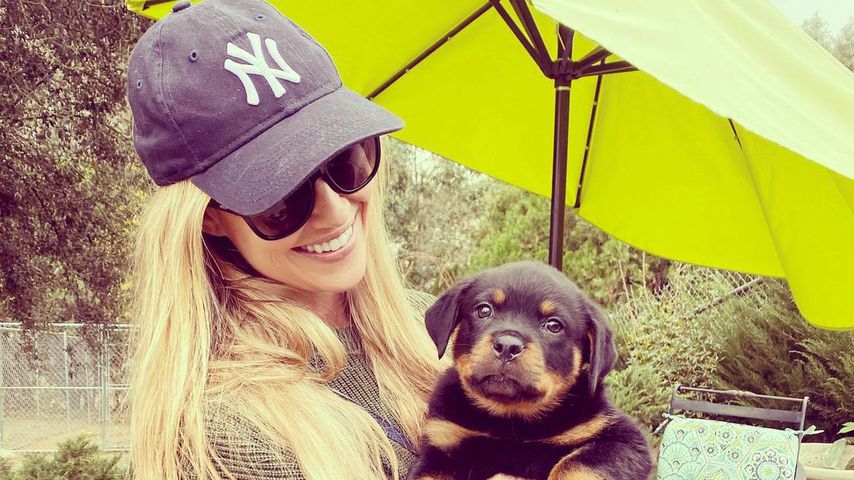 Nach Trennung: Christina Anstead schafft sich einen Hund an