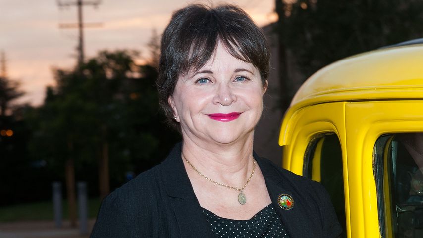 Cindy Williams, 2013