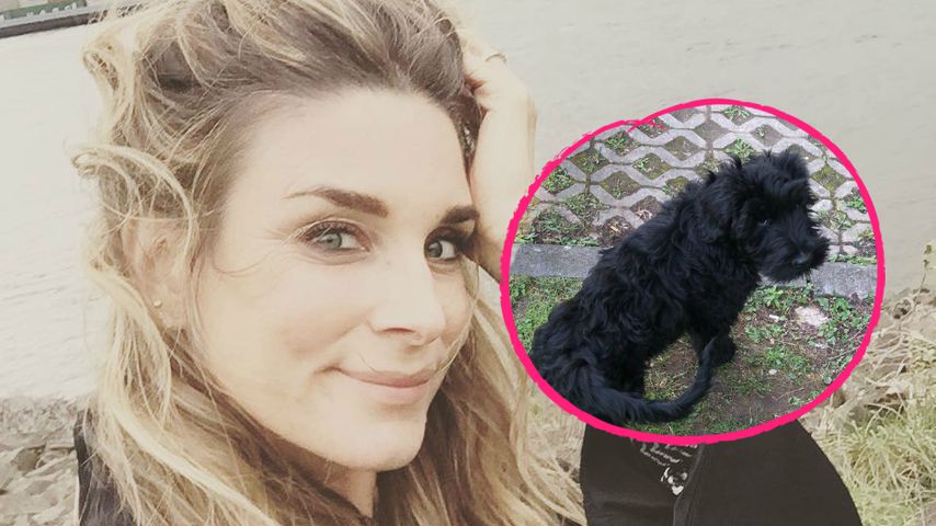 Hund war schuld! So kam es zu Claudelle Deckerts Verletzung