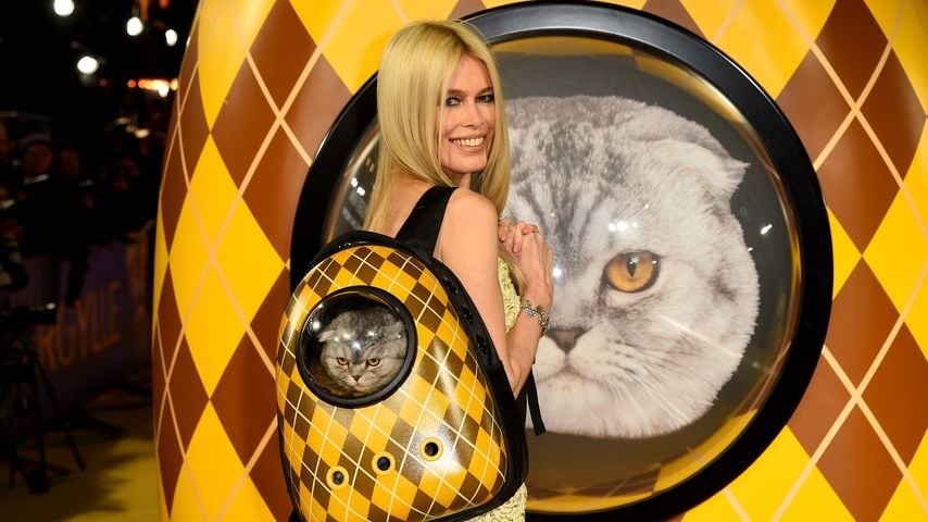 Claudia Schiffer mit ihrer Katze Chip