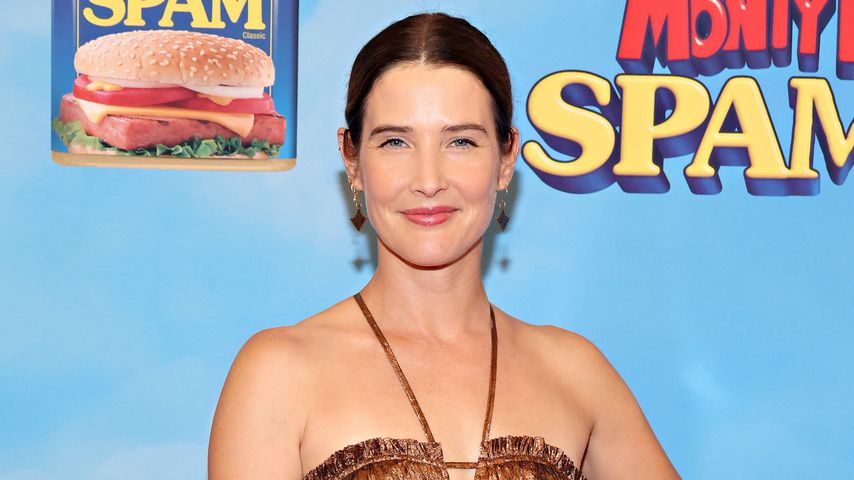 Cobie Smulders im November 2023