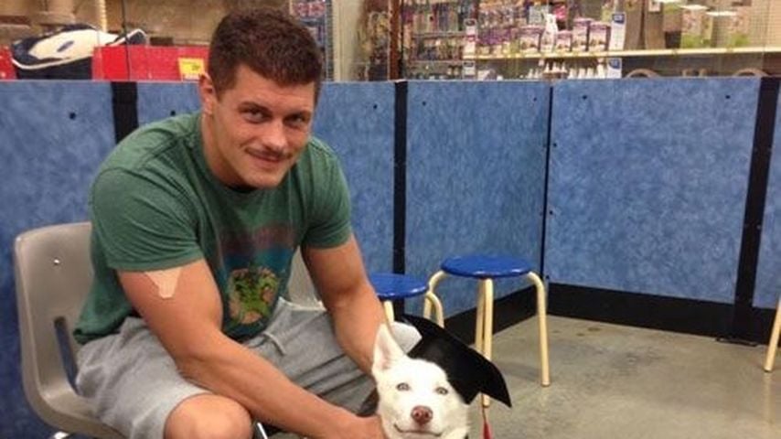Cody Rhodes mit seinem Husky Pharaoh als Welpe