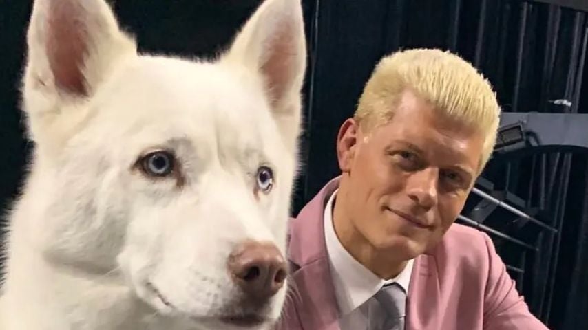 WWE-Star Cody Rhodes trauert um seinen treuen Husky Pharaoh