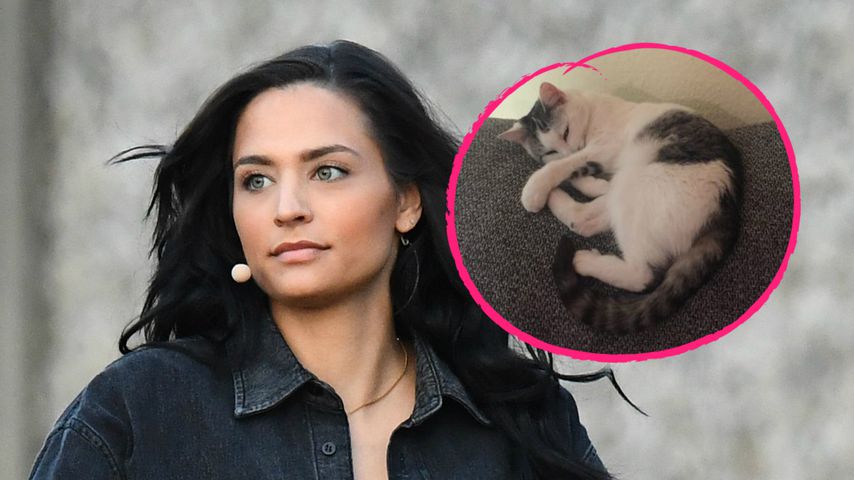 Amira Pocher weint bitterlich: Ihre Katze ist gestorben