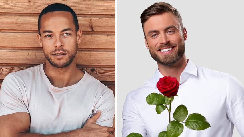 Ex-Bachelor Andrej: Niko sollte es langsamer angehen lassen