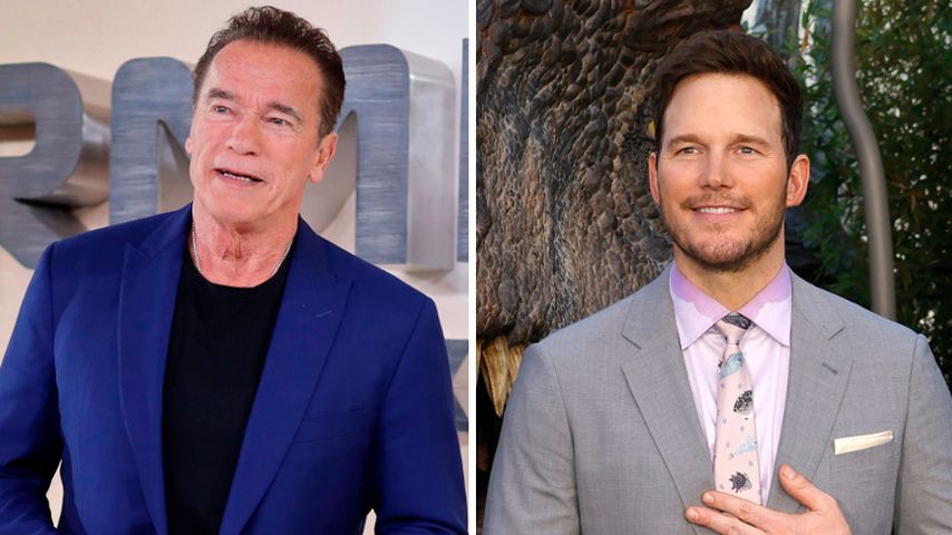Arnold Schwarzenegger schwärmt von Schwiegersohn Chris Pratt