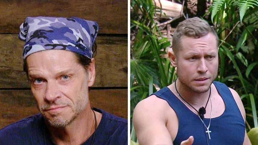Collage: Stephen und Patrick hatten die wenigsten Anrufe im Dschungelcamp