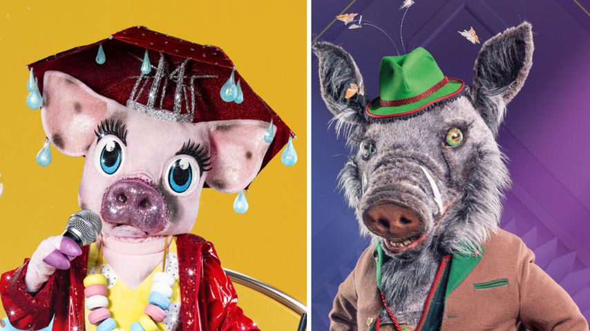 Doppel-Fail: Welches "The Masked Singer"-Schwein überzeugt?