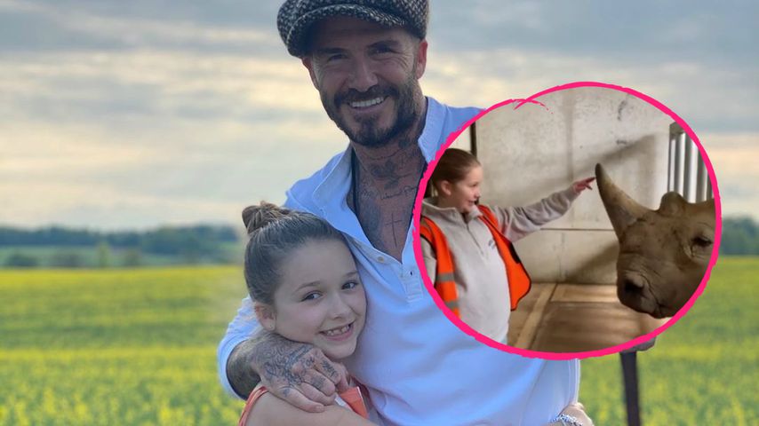 Vater-Tochter-Tag: Hier wird Harper Beckham zur Zoowärterin