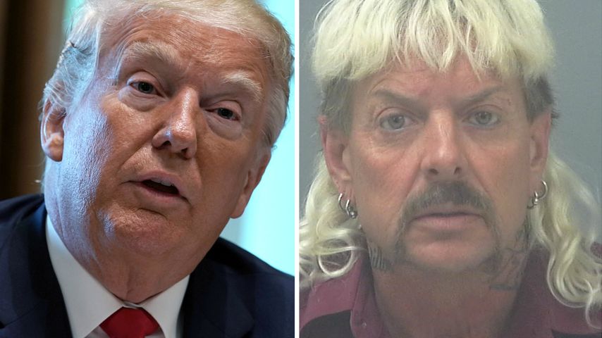 Will Donald Trump Joe Exotic etwa aus dem Knast holen?