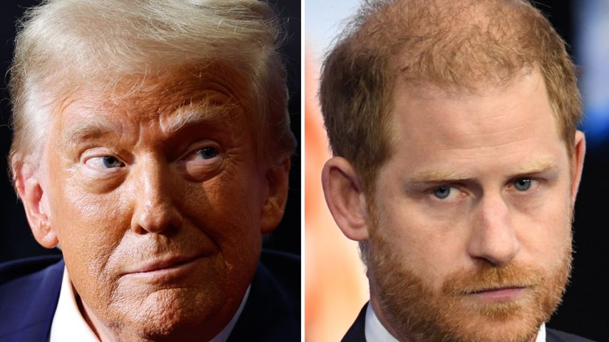 Collage: Donald Trump und Prinz Harry