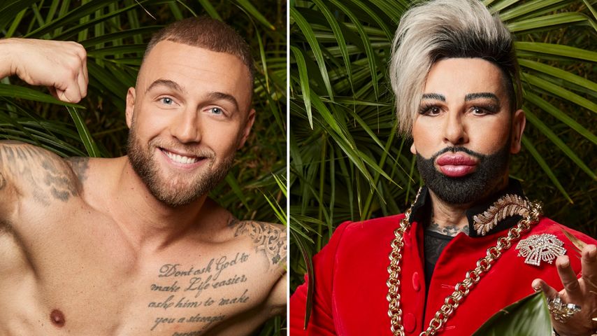Diese Dschungel-Stars bekommen den meisten Promi-Support!