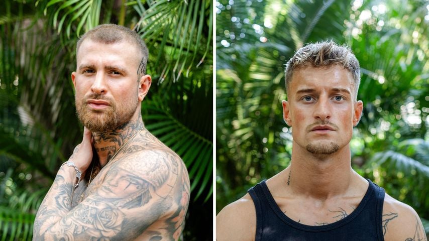 Gigi gegen Laurenz: Für wen sind die Fame-Fighting-Fans?