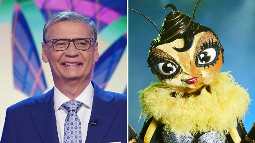 Absicht? WWM läuft bald auf dem "Masked Singer"-Sendeplatz