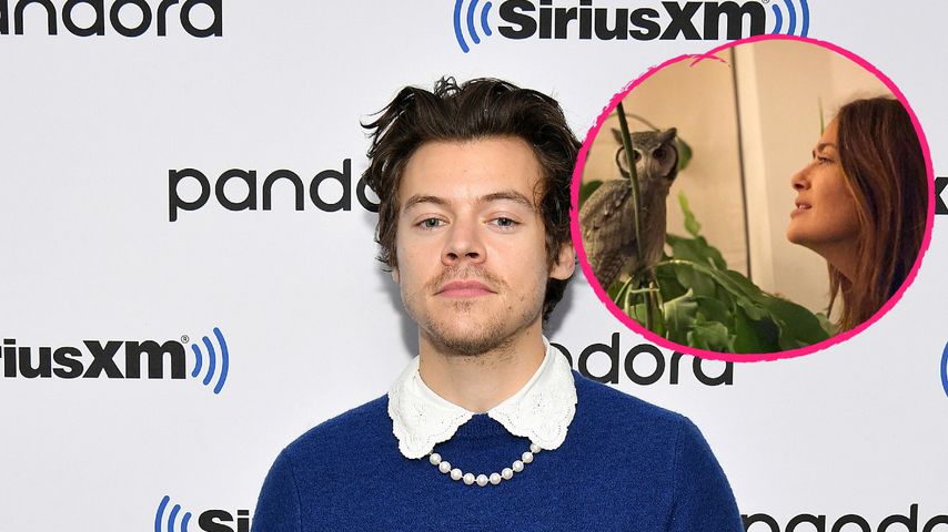 Salma Hayeks Eule übergab sich auf Harry Styles